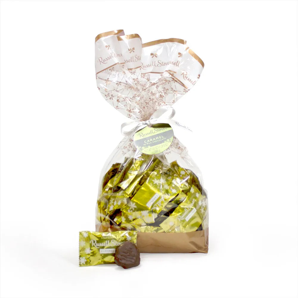 Russell Stover Chocolates Milk Chocolate Caramel in Winter Wrap, Bag, 24 oz.
