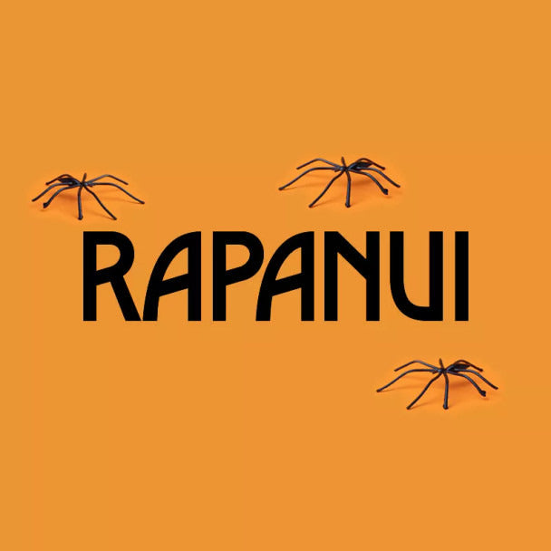 Pampa Direct Rapanui Special Selection Large Truffles & Bonbons Box, 120 g / 4.23 oz