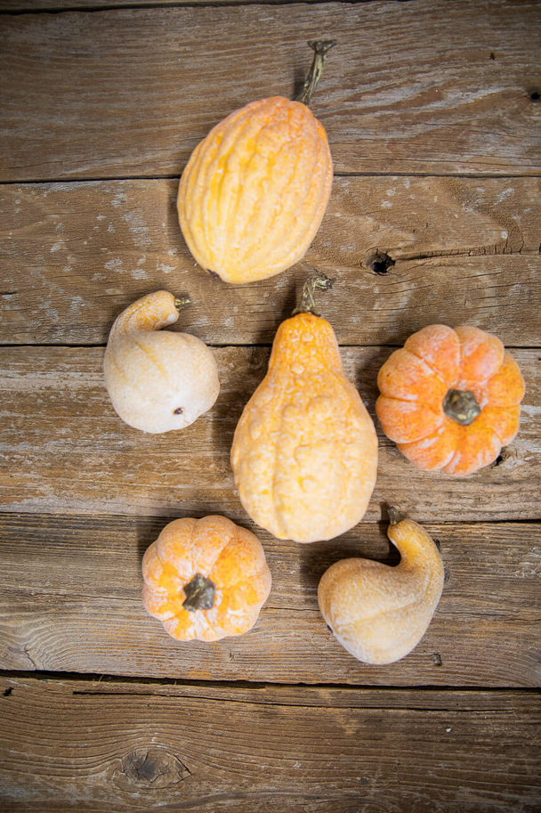Decorator's Warehouse 6 Piece Pumpkins & Gourds with Mesh Bag