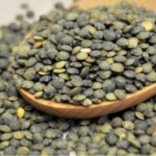 Sun Organic Farm Organic French Green Lentils