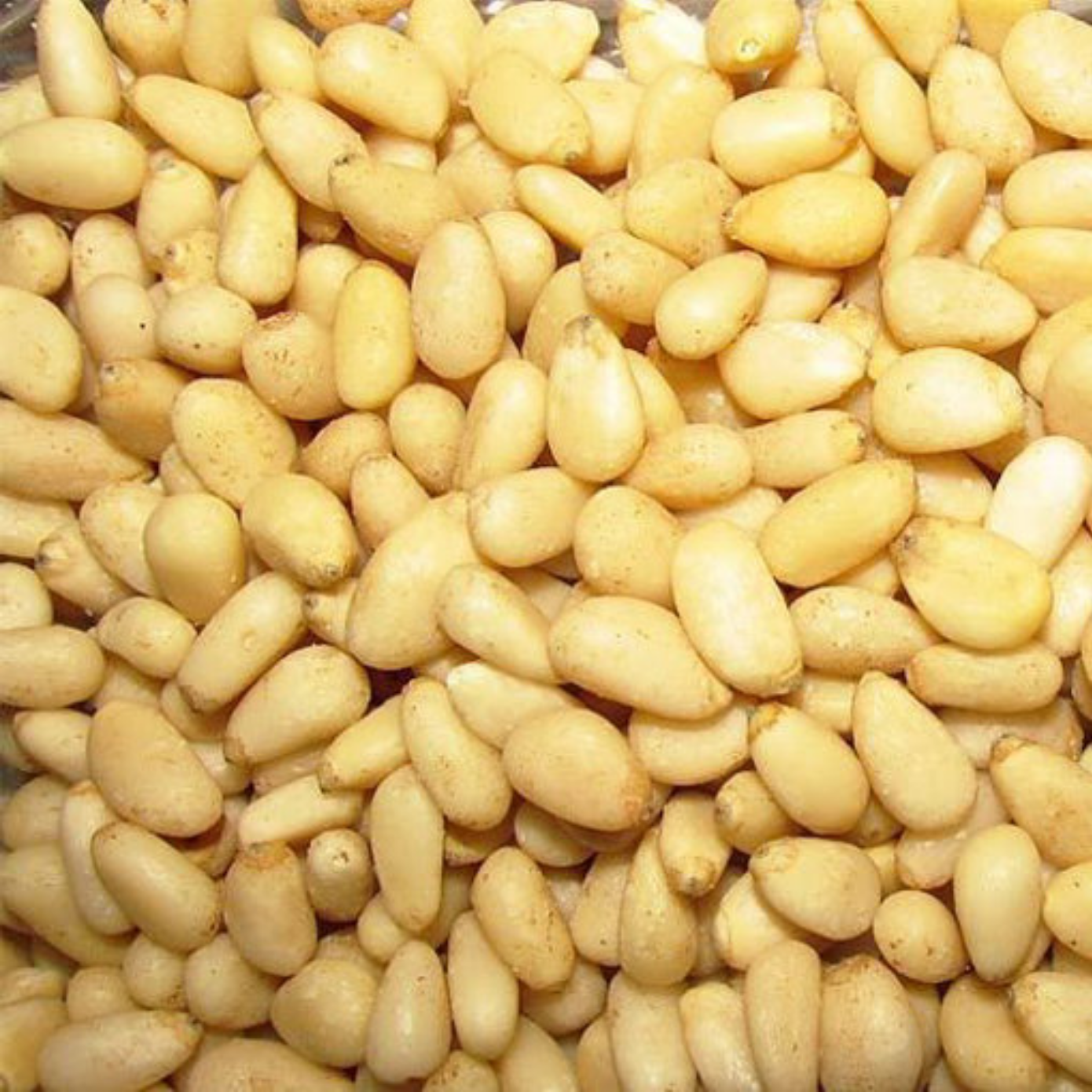 Sun Organic Farm Pine Nuts, Raw, Organic NEW LOWER PRICE
