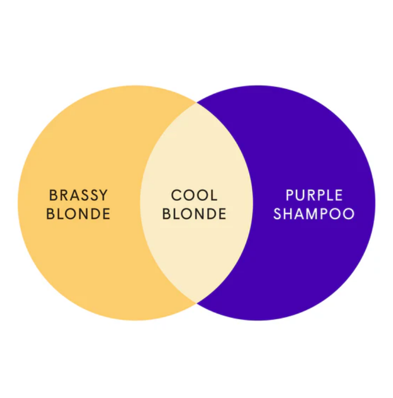 dphue.com Cool Blonde Shampoo