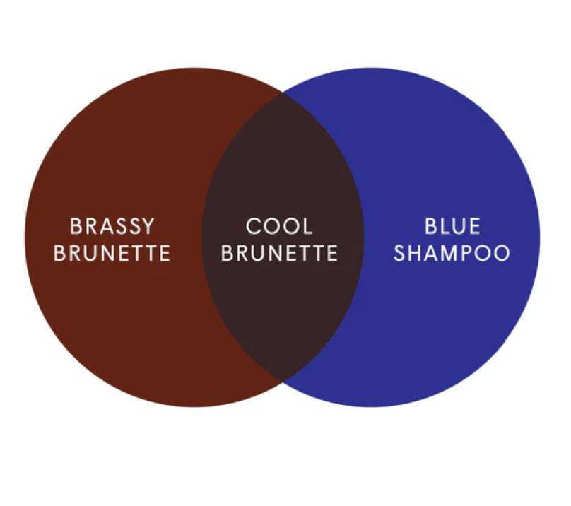 dphue.com Cool Brunette Shampoo