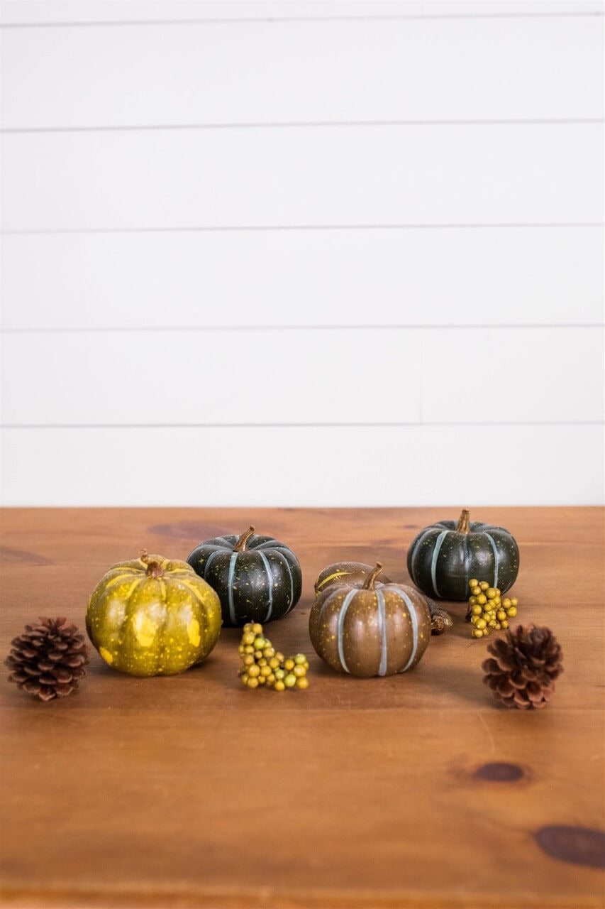Decorator's Warehouse 7” Bagged Pumpkins and Gourds