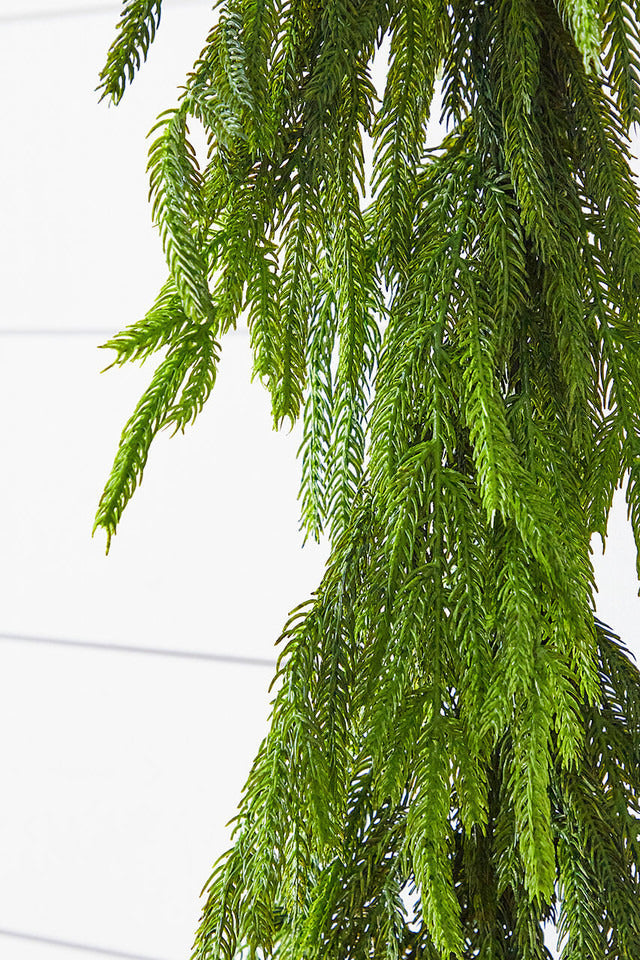Decorator's Warehouse 72” Real Touch Norfolk Pine Garland