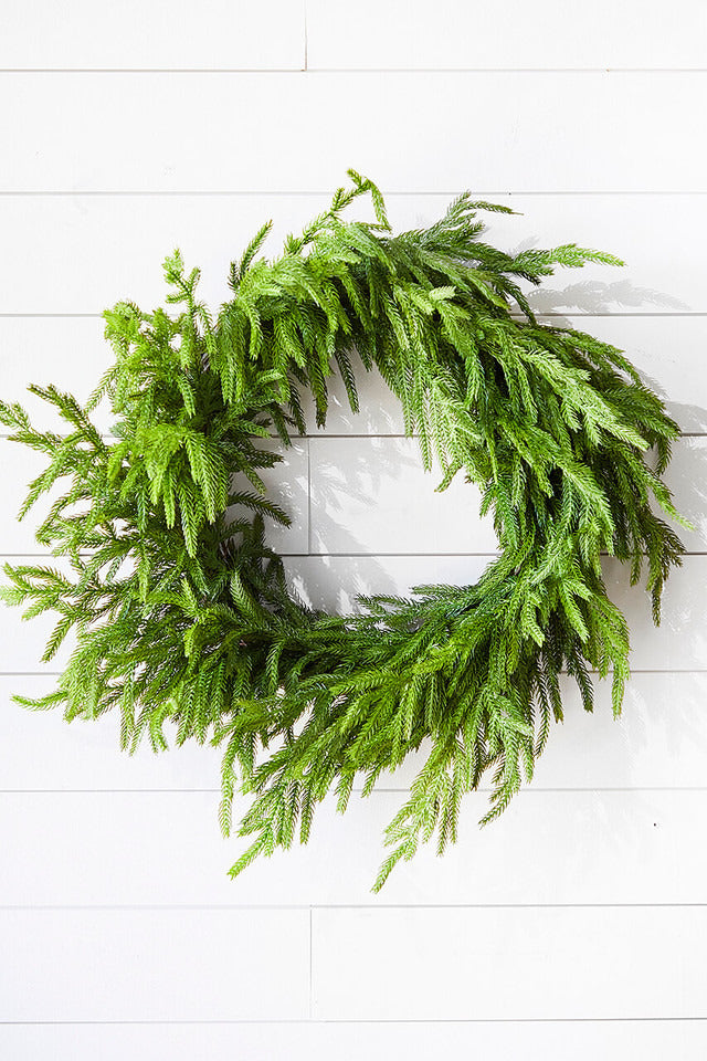 Decorator's Warehouse 24” Just Cut Norfolk Pine Wreath