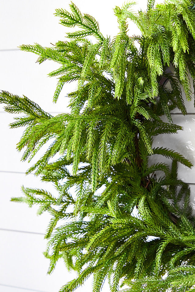 Decorator's Warehouse 24” Just Cut Norfolk Pine Wreath