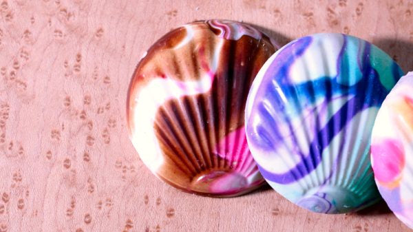 Mendocino Chocolate Company Chocolate Seashell Gift Box