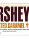 HERSHEY ICE CREAM SHOPPE Salted Caramel Standard Bar 1.38oz