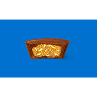 REESES BIG CUP Milk Chocolate Peanut Butter Cups with Potato Chips King Size Candy Bar 2.6oz Candy Bar