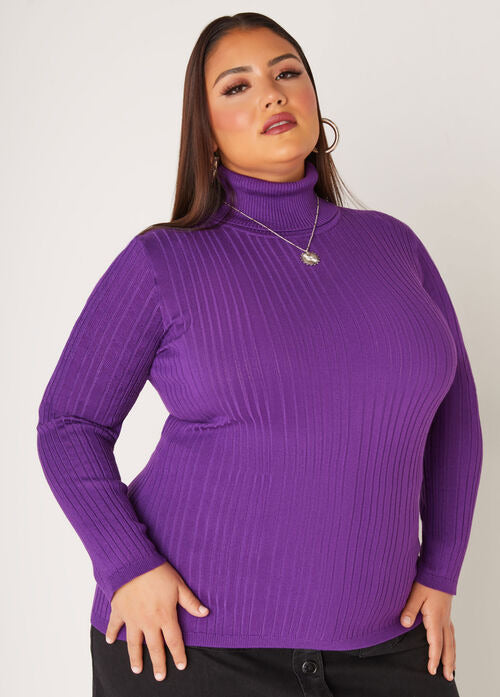 Ashley Stewart Turtleneck Pullover Sweater (x2)