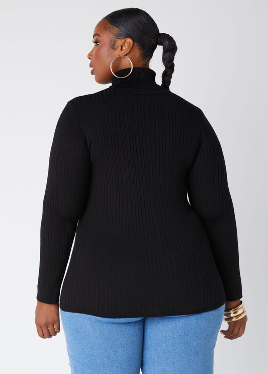 Ashley Stewart Pullover Turtleneck Sweater (x2)