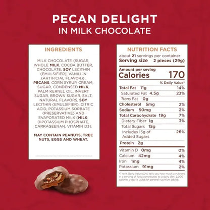 Russell Stover Chocolates Milk Chocolate Pecan Delights, 24 oz. bag