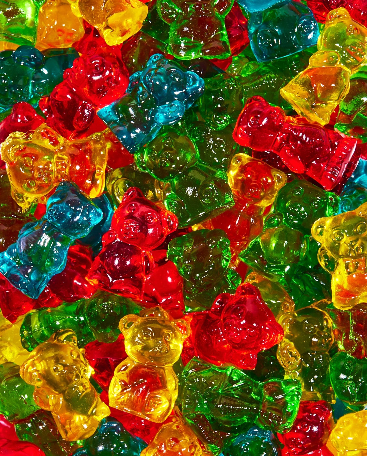 Dylan's Candy Bar 3D Fruity Gummy Chubby Bears Bulk Bag