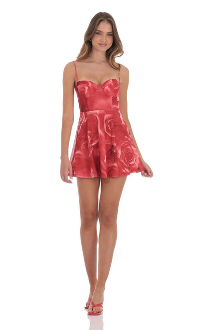 Lucy In The Sky Rose Mesh Corset A-line Dress in Red
