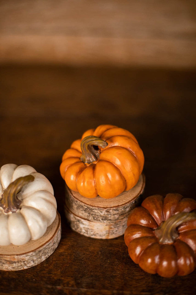 Decorator's Warehouse 3” Resin Harvest Pumpkin