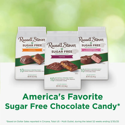 Russell Stover Chocolates Sugar Free Toffee Squares Mini Chocolate Candies, 5.1 oz bag