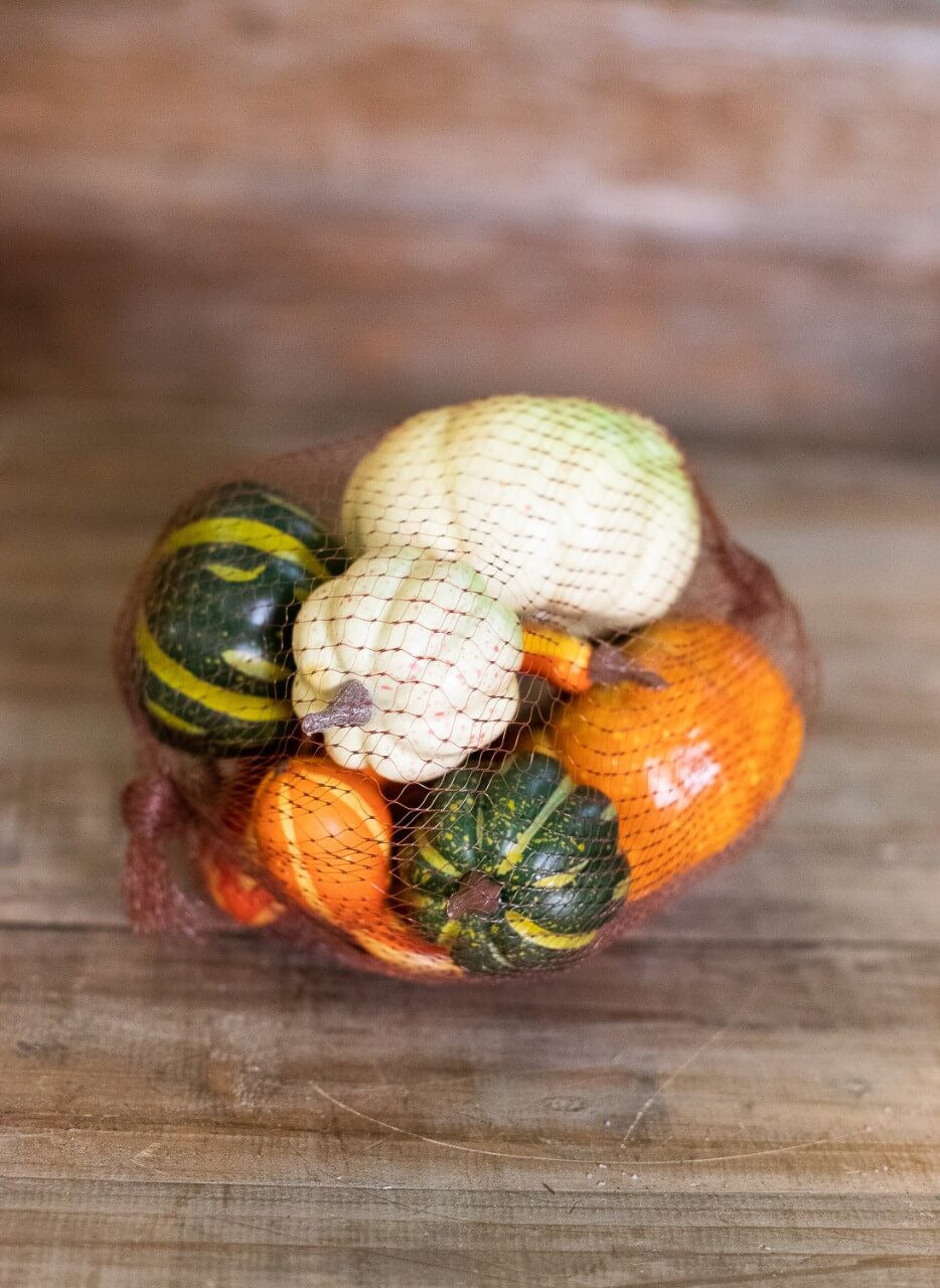 Decorator's Warehouse Pumpkin Variety in Mesh Bag - 10 Piece