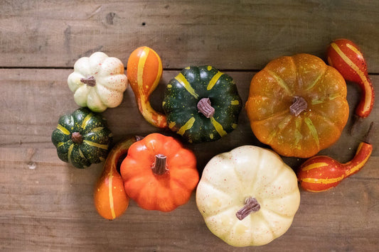 Decorator's Warehouse Pumpkin Variety in Mesh Bag - 10 Piece