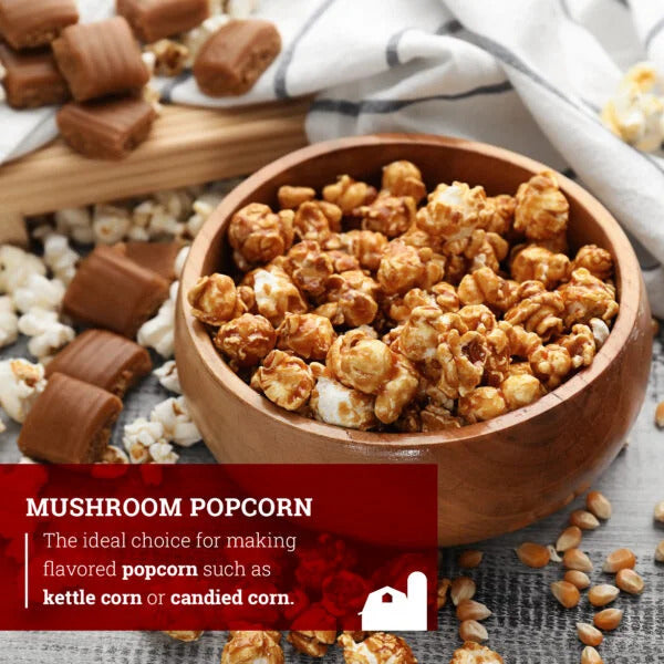 Hoosier Hill Farm Gourmet Mushroom Popcorn
