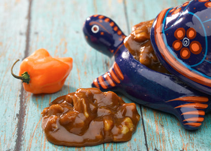 Lammes Candies 9 Piece Habanero Pralines - Case of 12