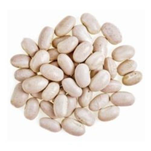 Sun Organic Farm Organic Great Northern Beans