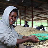 Frothy Monkey Rwanda Sholi Natural