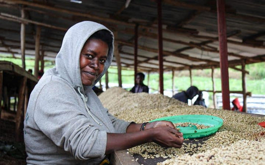 Frothy Monkey Rwanda Sholi Natural