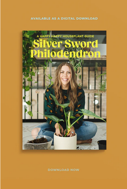 Happy Happy Houseplant Silver Sword Philodendron Digital Care Guide