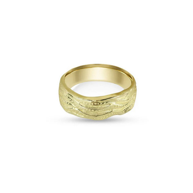 ARGENTO VIVO THE TEXTURED TAREN BAND