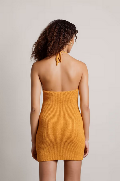 Tobi Women's Aylah Halter Ribbed Knit Bodycon Mini Dress