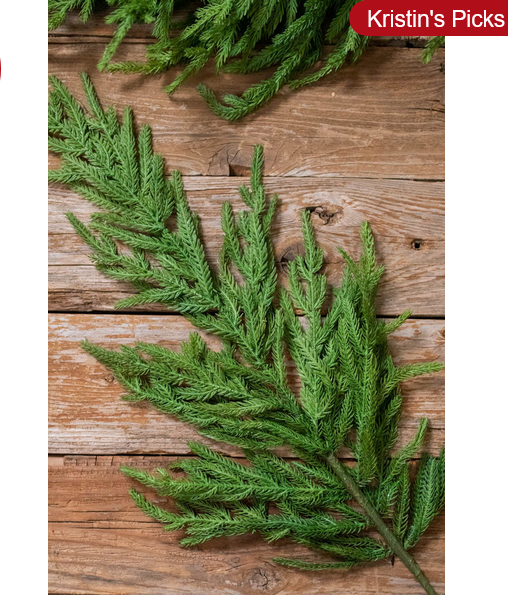 Decorator's Warehouse 38” Natural Touch Norfolk Pine Christmas Spray