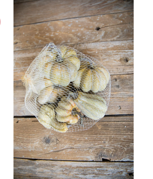 Decorator's Warehouse 6 Piece Pumpkins & Gourds Set