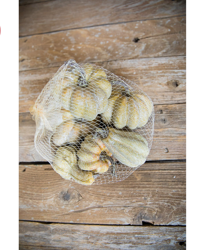Decorator's Warehouse 6 Piece Pumpkins & Gourds Set