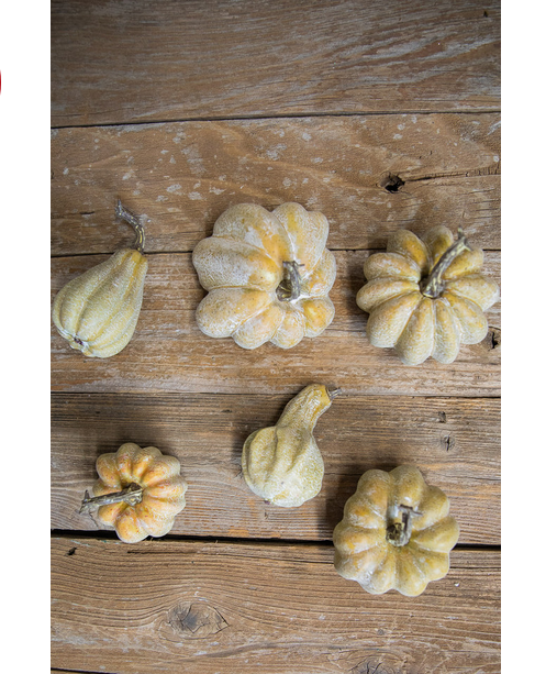 Decorator's Warehouse 6 Piece Pumpkins & Gourds Set