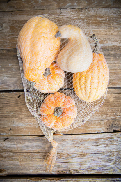 Decorator's Warehouse 6 Piece Pumpkins & Gourds with Mesh Bag