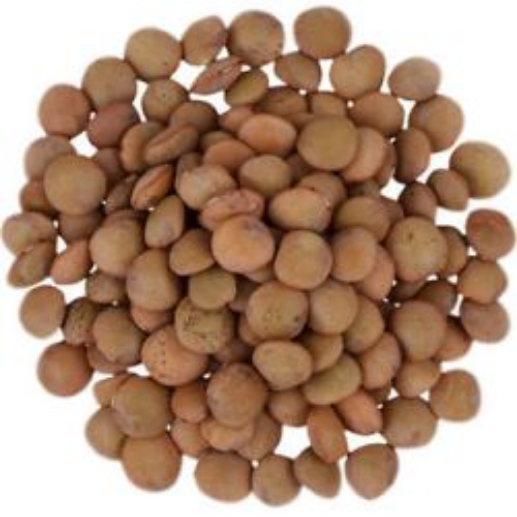 Sun Organic Farm Organic Lentils, Whole Red