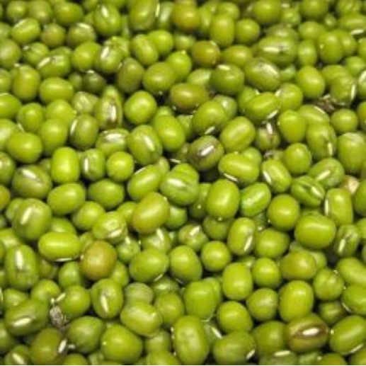 Sun Organic Farm Organic Mung Beans