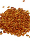 Sun Organic Farm Alfalfa Seed - Organic