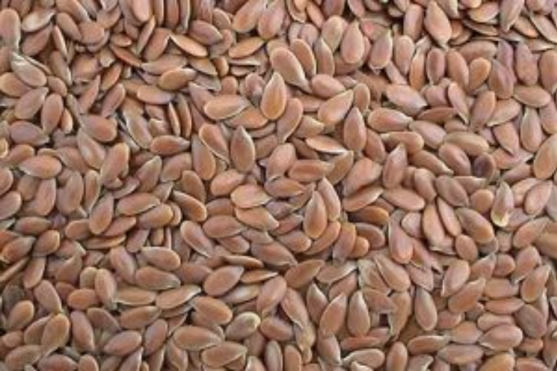 Sun Organic Farm Brown Flax Seed - Organic