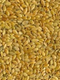 Sun Organic Farm Golden Flax Seed - Organic