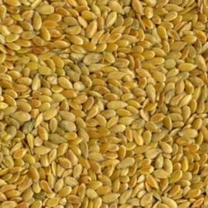 Sun Organic Farm Golden Flax Seed - Organic