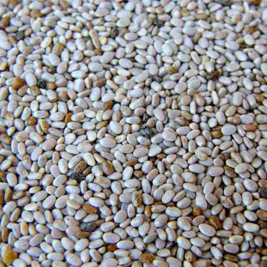 Sun Organic Farm Organic Chia Seed - White