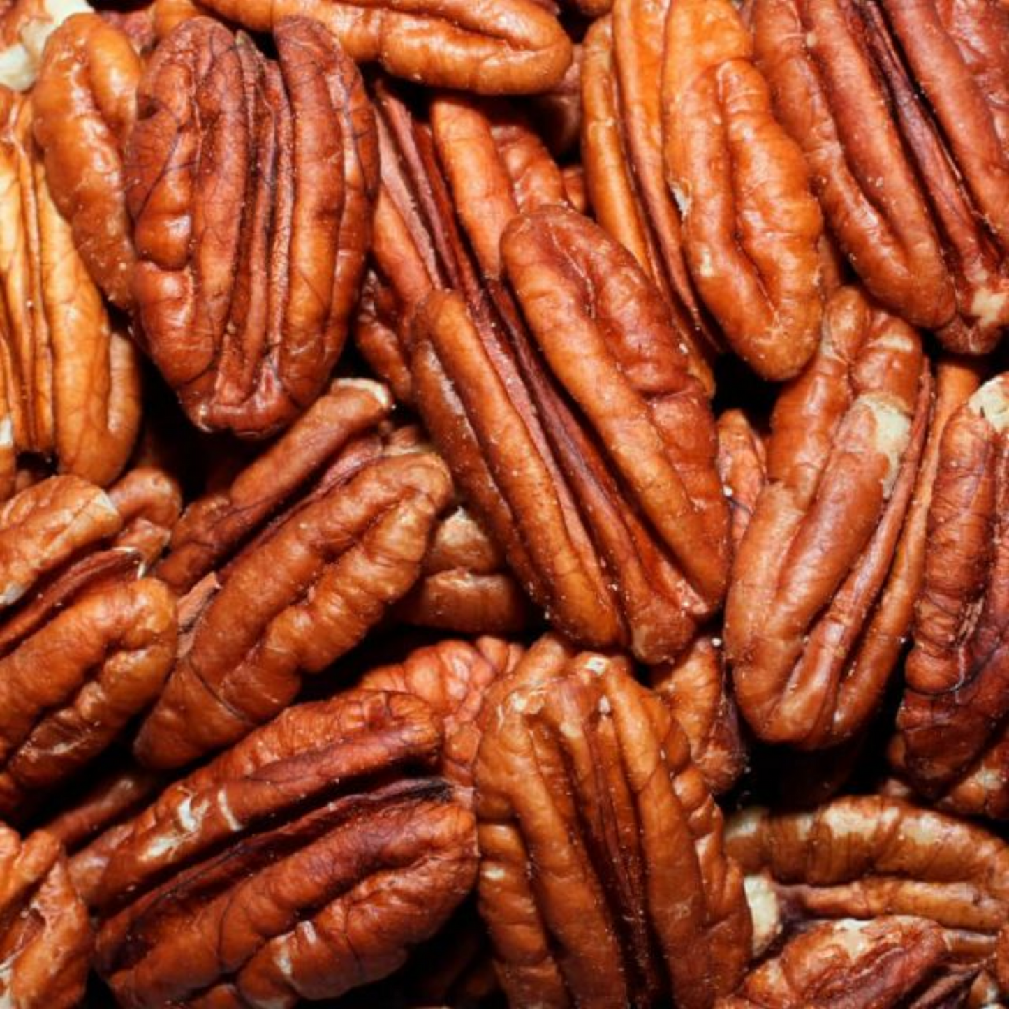 Sun Organic Farm Pecans, Raw Organic, Halves