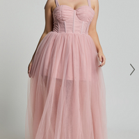 Showpo Emmary - Bustier Bodice Tulle Dress in Pink