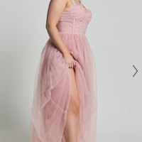 Showpo Emmary - Bustier Bodice Tulle Dress in Pink