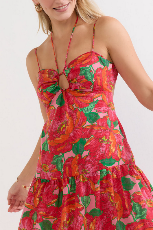 Francesca's Mariana Strappy Halter Floral Maxi Dress