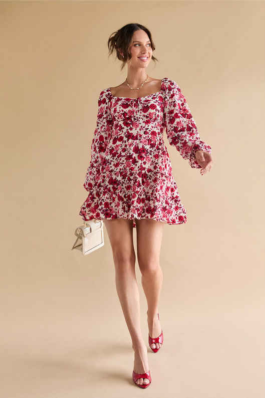 Francesca's Elisa Floral Swing Dress