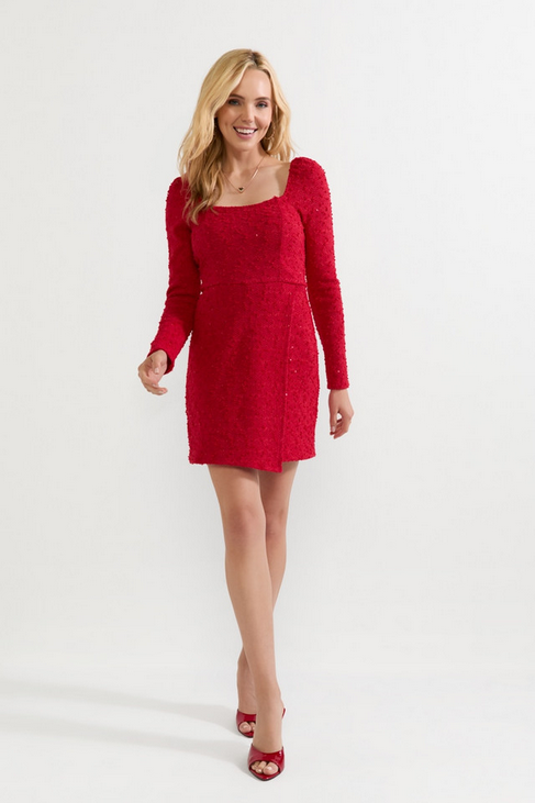 Francesca's Ines Long Sleeve Popcorn Mini Dress