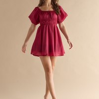 Francesca's Maryann Ruched Mini Dress (x2)